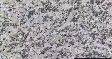 赣州 芙蓉白（芝麻白大花）火烧面