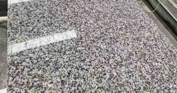 赣州 芙蓉白光面