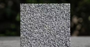 赣州 芝麻黑荔枝面