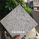 赣州 芝麻白荔枝面干挂