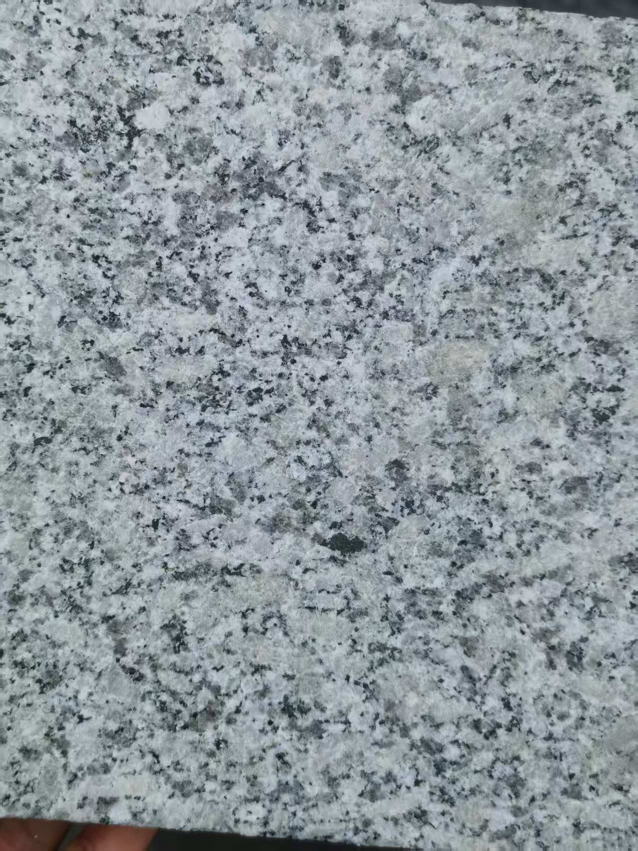 赣州 芙蓉白火烧面