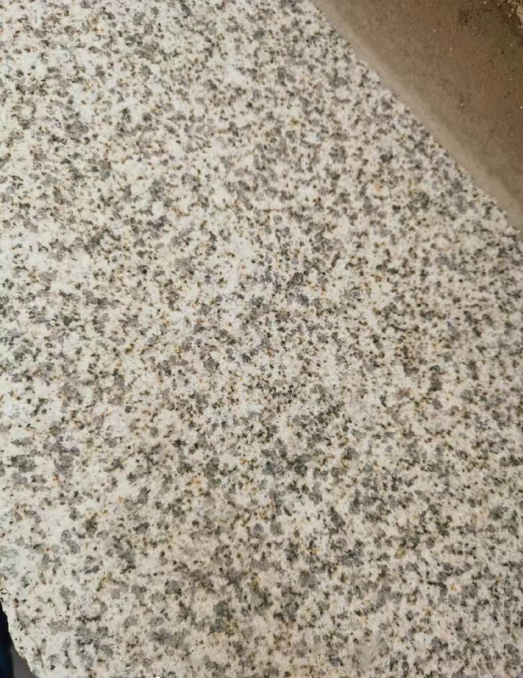 赣州 黄金麻中黄光面