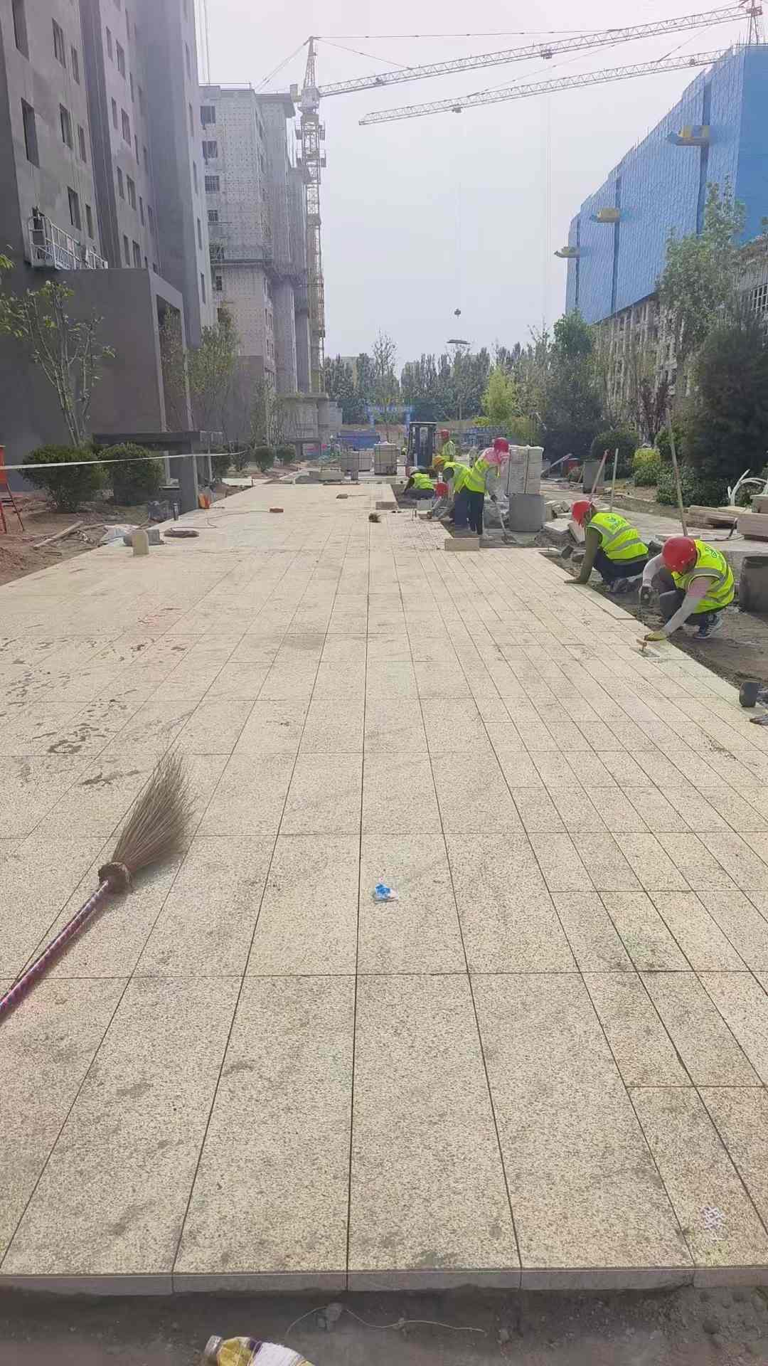 赣州黄金麻荔枝面地铺案例